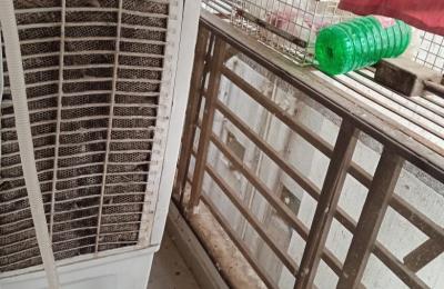 2BHK Flat for Sale – Just ₹18 Lakh – Kolar Road, Bhopal (Priyanka Nagar Main Road)